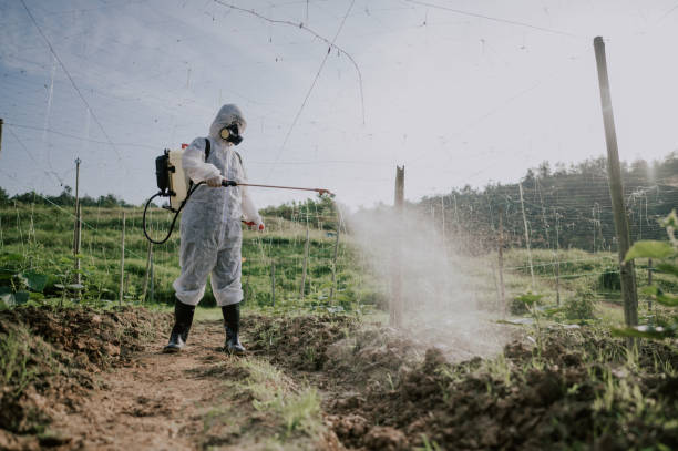 Best Mosquito Control Services  in Bowie, TX