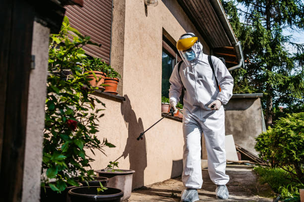 Best Rat Extermination Near Me  in Bowie, TX