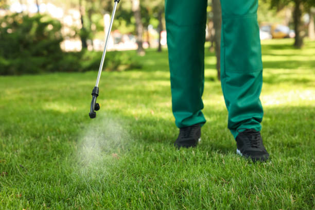 Best Wildlife Control Services  in Bowie, TX