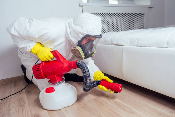 Best Cockroach Control Services  in Bowie, TX