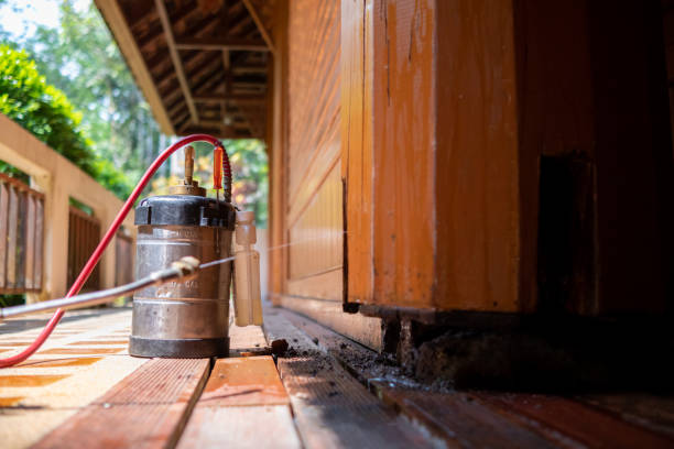 Best Cockroach Control Services  in Bowie, TX