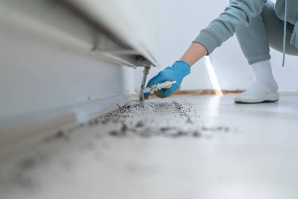 Best Best Pest Control Companies  in Bowie, TX